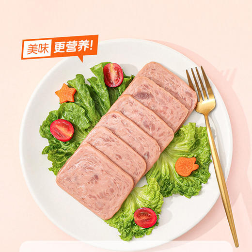 伊威黑猪午餐肉210g 商品图8