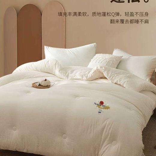 巴布瑞新雪绒被200*230cm（填充物：大豆纤维+超细纤维） 商品图0