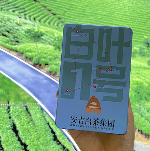 明前白叶一号特级绿茶40克罐装 鲜嫩清爽 颗颗芽头 品质好物 商品图1