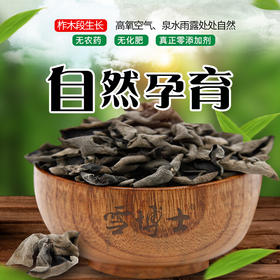有机秋木耳 120g/250g
