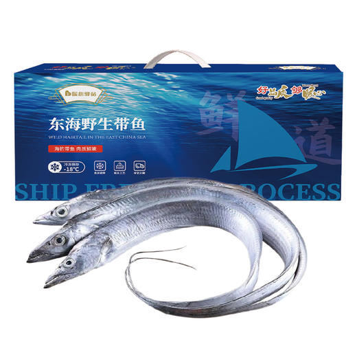 暖心驿站 东海钓带鱼 2500g 12-15条/盒【联想员工春节2024】 商品图0
