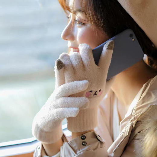 「四色可选！韩版刺绣手套」手套女学生保暖手套可触屏加绒防寒冬季可爱笑脸韩版刺绣骑行手套配饰 商品图3