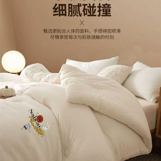 巴布瑞新雪绒被200*230cm（填充物：大豆纤维+超细纤维） 商品图1