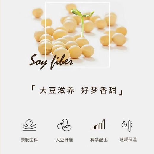 巴布瑞新雪绒被200*230cm（填充物：大豆纤维+超细纤维） 商品图4