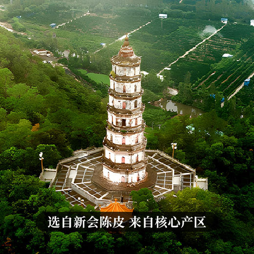 【积分兑换】【60元+100积分】【陈皮石斛】选自新会陈皮 来自核心产品 陈皮加石斛营养翻倍 杯水之间 享受营养之道 神奇的搭配送给滋养的您 每盒12包共60克 商品图4