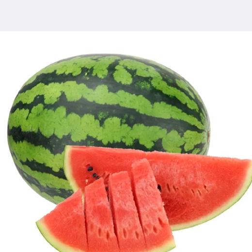 大西瓜（4000g/份） 商品图0