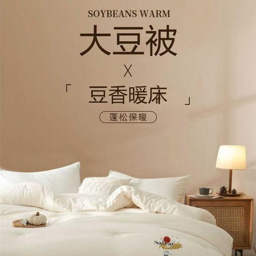 巴布瑞新雪绒被200*230cm（填充物：大豆纤维+超细纤维） 商品图2