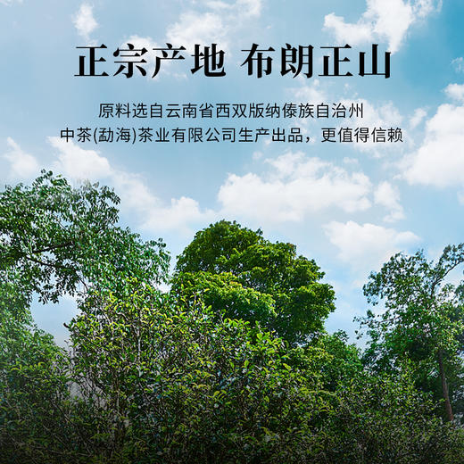 中茶牌布朗大树 茶叶357克 商品图1