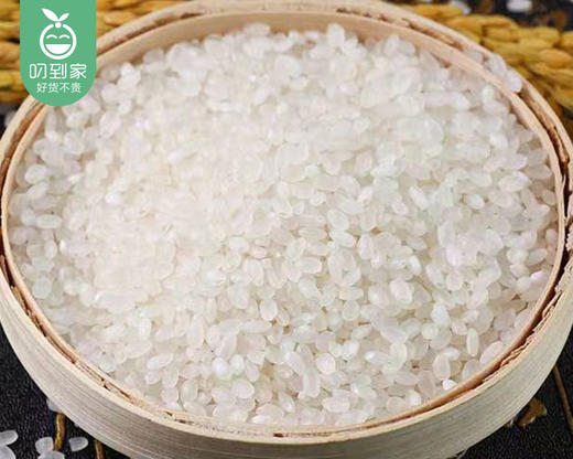 盘珠盘锦蟹田大米/1袋（5kg）生产日期 26年2月 商品图4