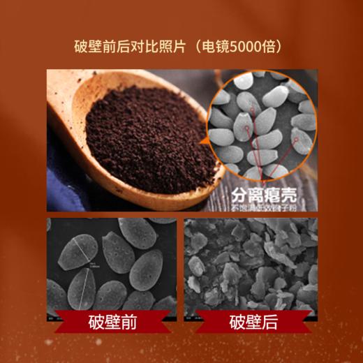 天江丨破壁灵芝孢子粉胶囊 甄选原料 富含孢子油 送亲朋 送长辈 商品图3