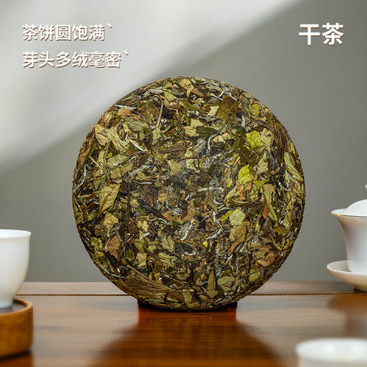 2020福鼎白茶东南多奇白牡丹孔雀饼300克/饼 商品图1