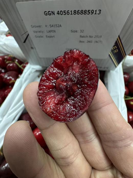 2025年澳洲维多利亚州空运车厘子 商品图5