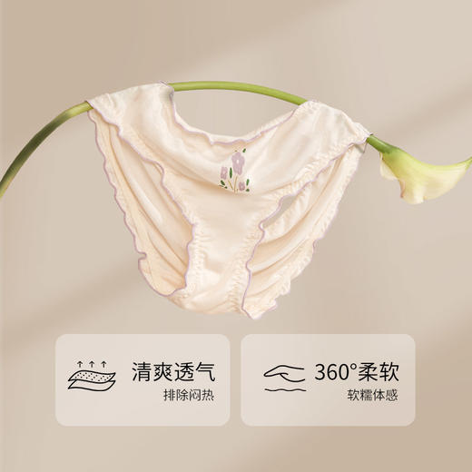 【2条装】金三塔少女真丝内裤女100%桑蚕丝发育期绢丝裸感无痕中腰三角裤女（内裤私密物品不支持退换货）  BBY030D 商品图1