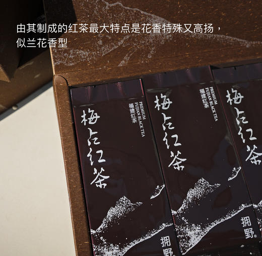 拥野·梅占红茶 5gx12袋/盒 商品图3