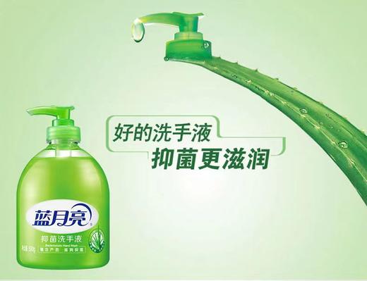 蓝月亮 芦荟抑菌洗手液500g 商品图2