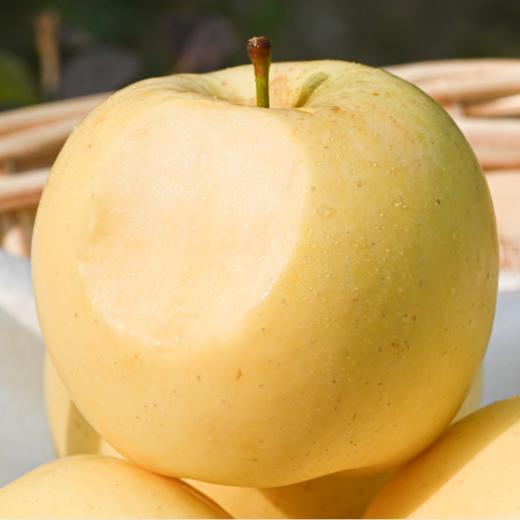 黄金奶油富士苹果 商品图2