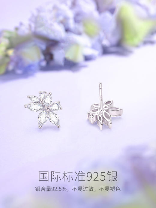 【紫藤花盛放耳钉】Fanci范琦s925银镶嵌款耳夹耳饰 下单赠精美礼盒+顺丰包邮+运费险 商品图2