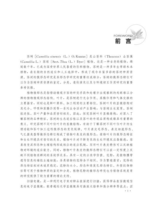 茶树品种资源微形态研究【中国农业出版社官方正版，可开发票，下单时留开票信息和电子邮箱】 商品图2