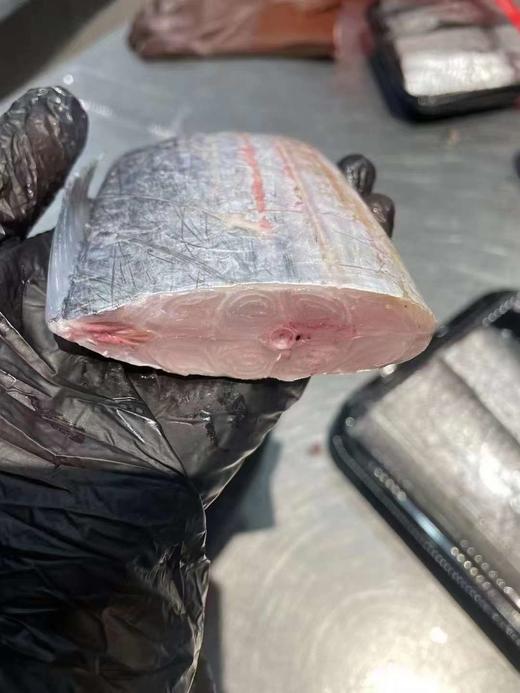 舟山野生雷达网 带鱼段 商品图4