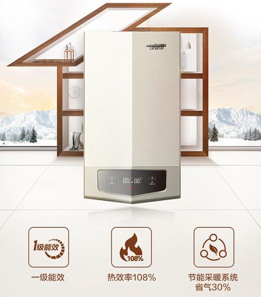 AO史密斯LL1GBQ24-E10冷凝采暖/热水两用炉 商品图0