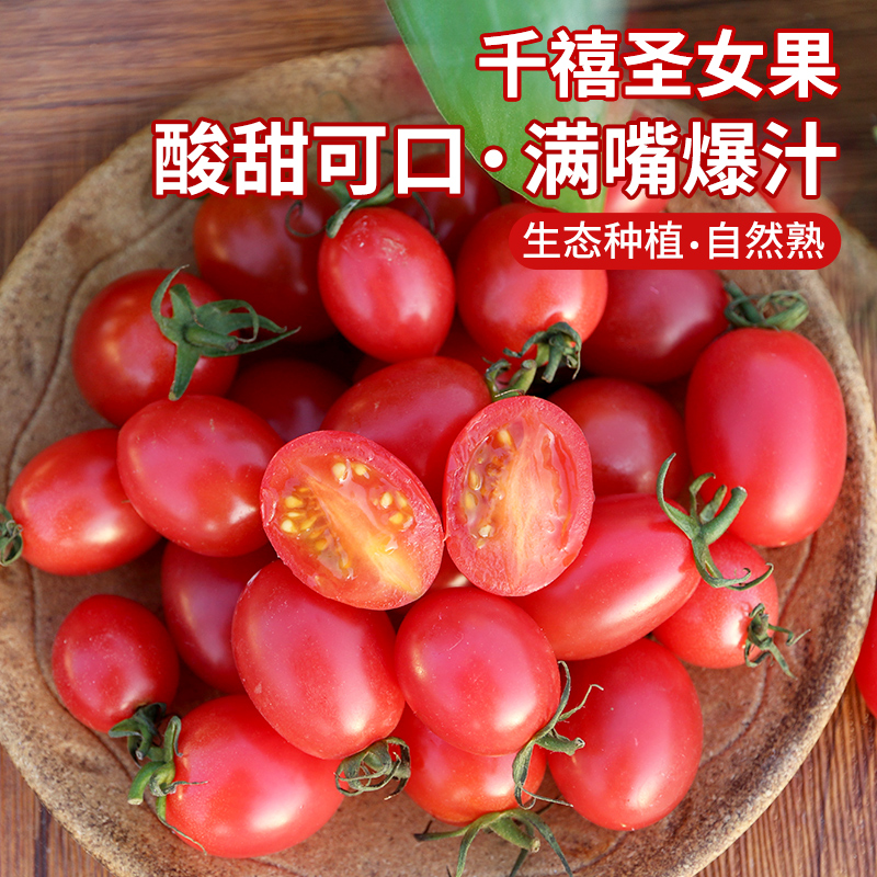 农家千禧圣女果 小番茄  小西红柿  新鲜采摘  酸甜可口  满嘴爆汁  1斤