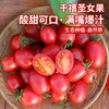 农家千禧圣女果 小番茄  小西红柿  新鲜采摘  酸甜可口  满嘴爆汁  1斤 商品缩略图0