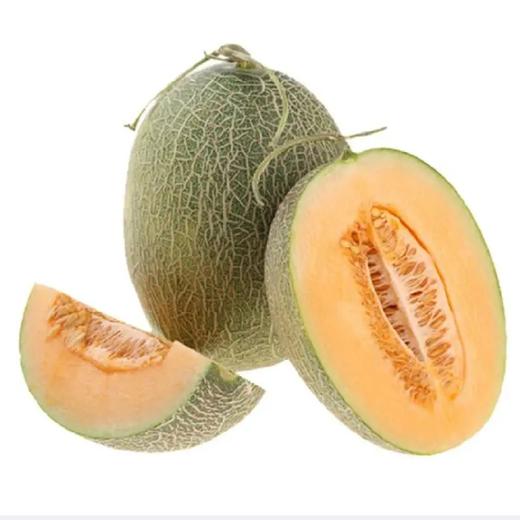 哈密瓜（1500g/份） 商品图0