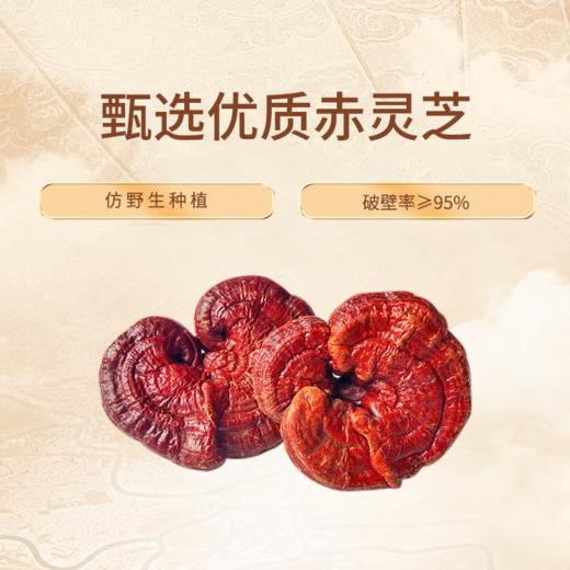 天江丨破壁灵芝孢子粉胶囊 甄选原料 富含孢子油 送亲朋 送长辈 商品图1