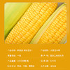 寒乡原水果玉米220g*8穗礼盒装 商品缩略图2
