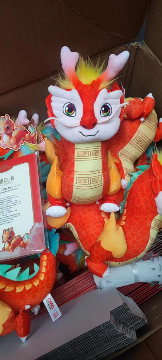 2024CCTV央视龙辰辰公仔龙年吉祥物玩偶生肖中国龙毛绒玩具龙 商品图3