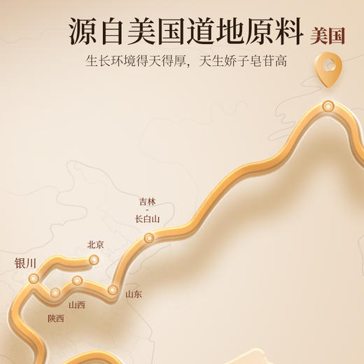 杞里香100g罐装美国2#1.0-1.2西洋参进口西洋参，好产地，皂甙含量更足用心选材，片片严选 商品图3