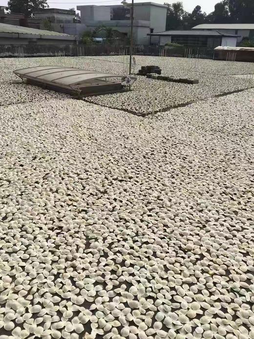 2020年全日晒新会陈皮 200克 礼盒装 商品图8