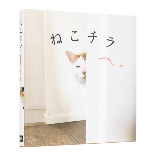 【预订】ねこチラ | 猫咪一瞥 与猫猫捉迷藏 写真摄影集 商品图0