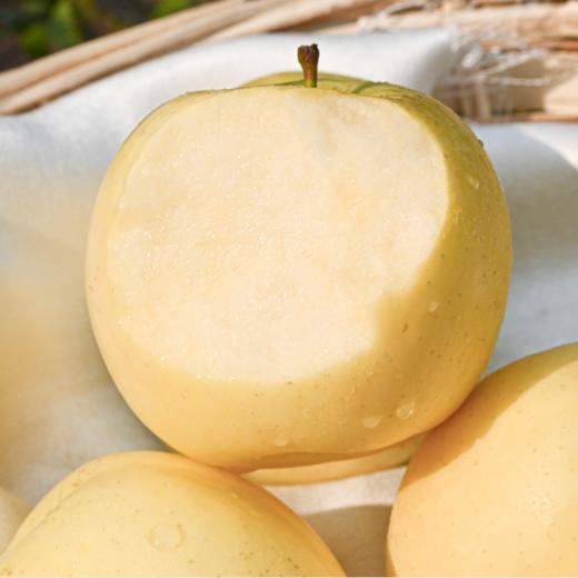 黄金奶油富士苹果 商品图3