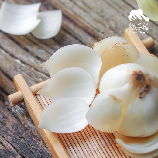 生态高原鲜百合 | 合作生产*Eco- Lily | Coproduction 商品图5