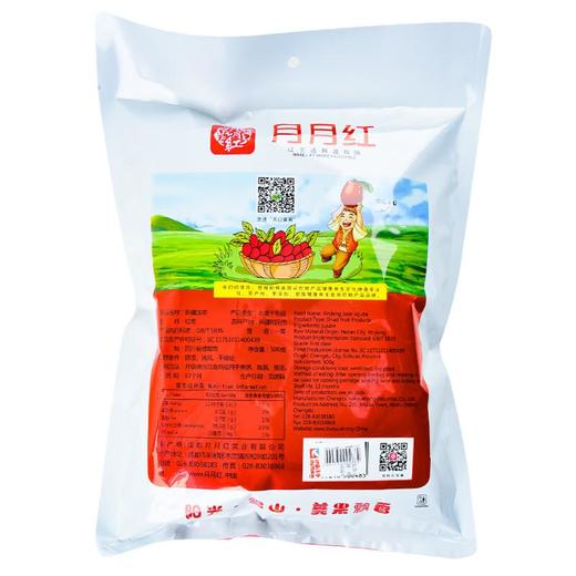 绿之友月月红新疆玉枣500g/袋 商品图1