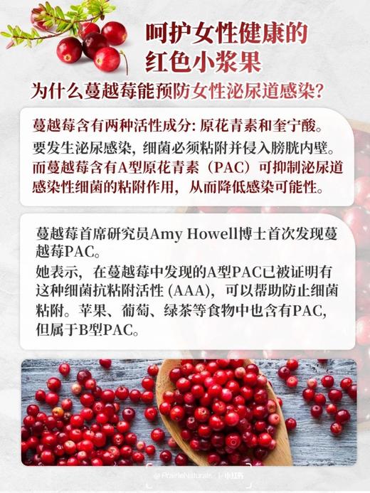 野生蔓越莓干/零食/ 酸甜可口 200g 商品图8