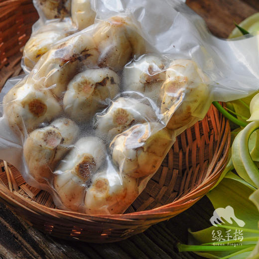 生态高原鲜百合 | 合作生产*Eco- Lily | Coproduction 商品图4