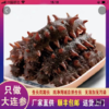 大连鲜食海参 独立包装 开袋即食 商品缩略图1