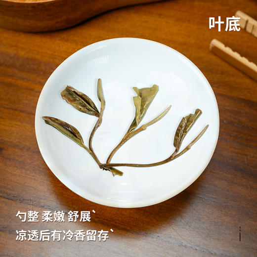 2020福鼎白茶东南多奇白牡丹孔雀饼300克/饼 商品图3