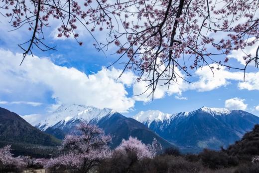 约伴行——【醉美西藏】五星西藏林芝桃花、波密、然乌尊享6天 商品图3