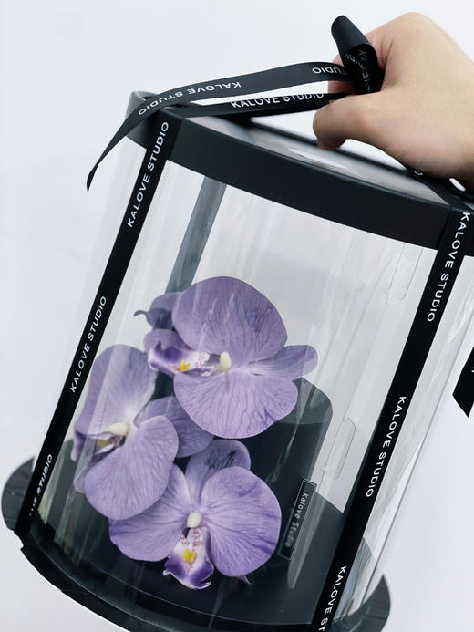 紫罗兰女生蛋糕 商品图1