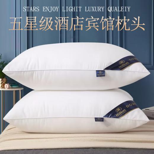 诗梦姿 不塌陷家用护颈枕头芯48*74cm 蓬松柔软 快速回弹 久用不塌 商品图2