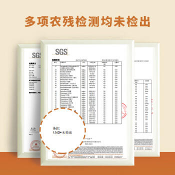 素养生活 有机白花生400g 生花生米 白皮花生 花生豆 花生仁 水煮凉拌油炸 /粮油调味 /杂粮 /其他杂粮 商品图0