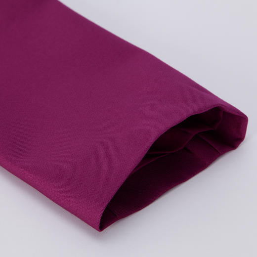 PE849斯尔丽2024春夏新款时尚长袖礼服连衣裙 商品图5