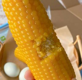 【2023新版】早安大苞米 东北黄金甜糯玉米 早餐营养粗粮 无添加 颗粒饱满 香糯可口 10根装 商品图1