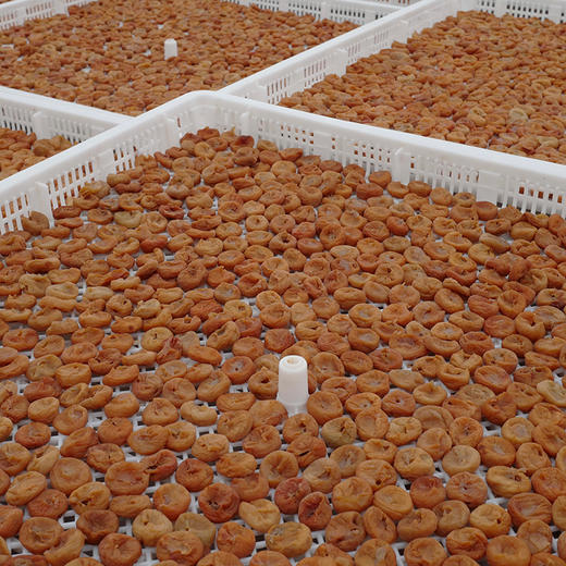 【酸甜咸香】一方云拾·梅有菠萝🍍 商品图6