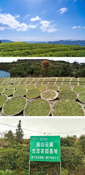 2折入！8年高山福鼎老白茶，斩获2021金物奖，再赠八角主人杯！