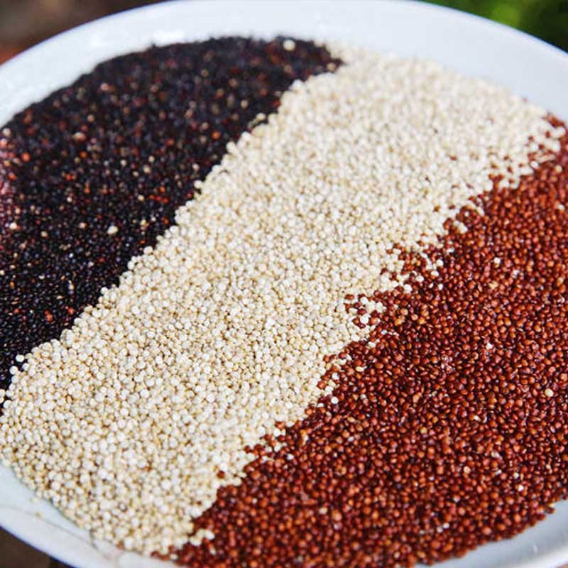 【三色藜麦米】