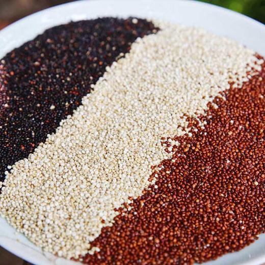 【三色藜麦米】 商品图0